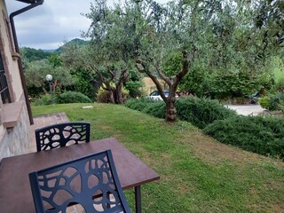 Cottage Solfagnano Outdoor Recording 11