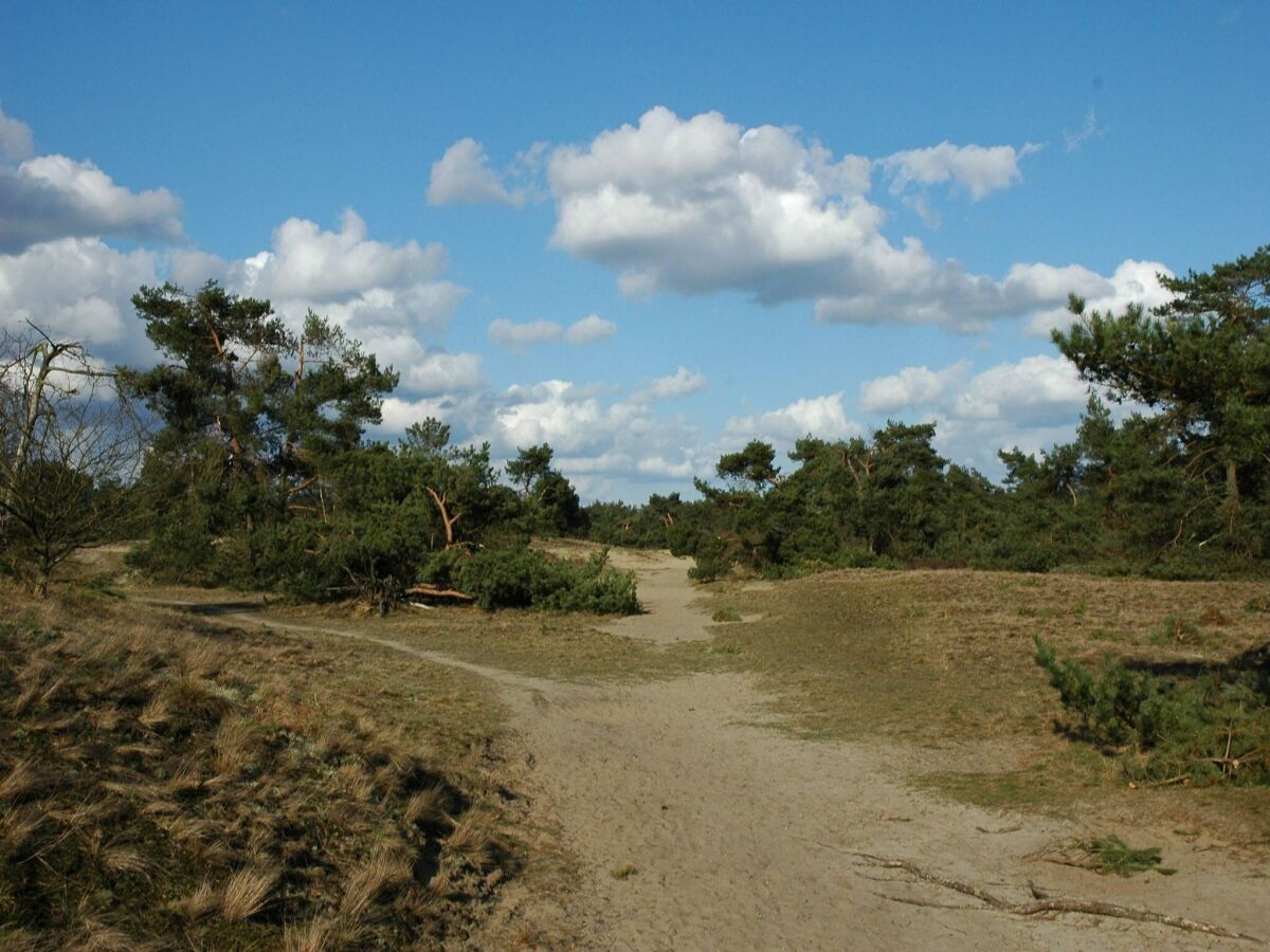 Ferienhaus Voorthuizen Umgebung 29