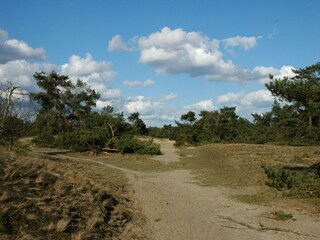 Holiday house Voorthuizen Environment 30