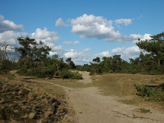 Holiday house Voorthuizen Environment 30