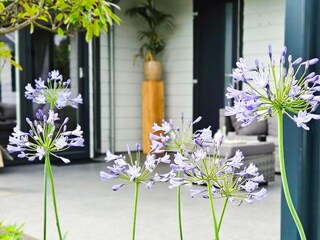 Casa per le vacanze Voorthuizen  40