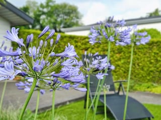 Holiday house Voorthuizen  34