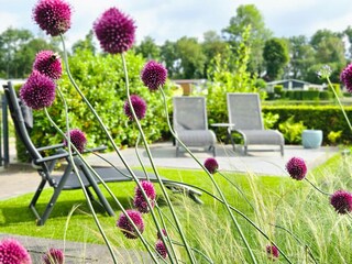 Holiday house Voorthuizen  33