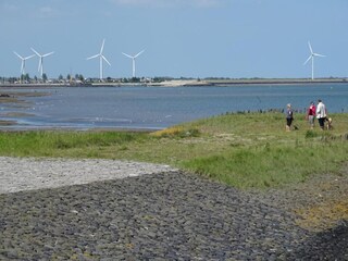 Maison de vacances Wissenkerke Environnement 37