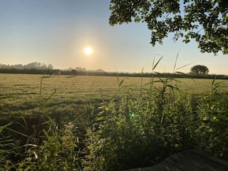 Chalet Menaldum Umgebung 39