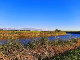 Chalet Menaldum Umgebung 43