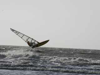 Windsurfer