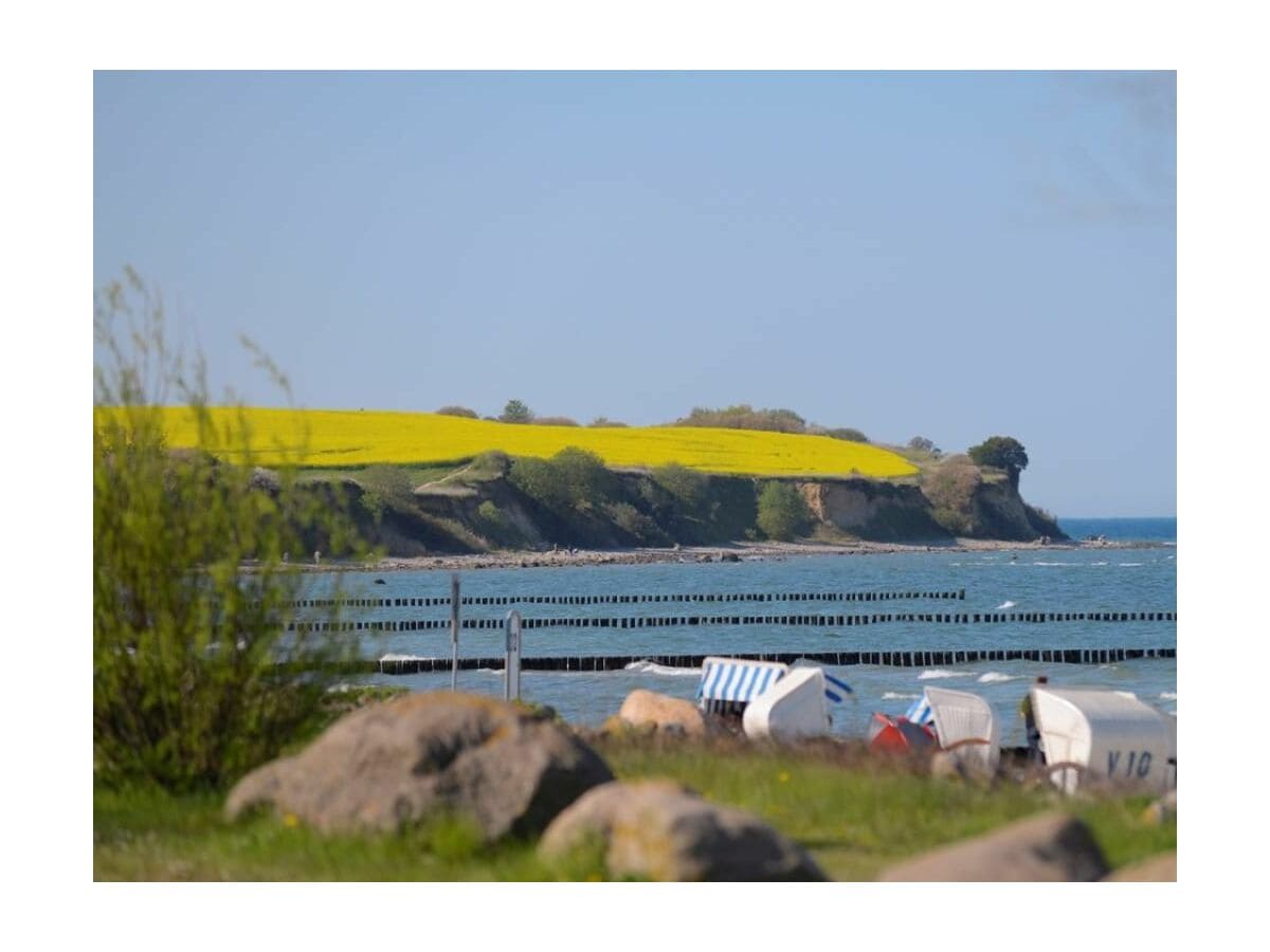 Ostseebad Boltenhagen - Blick auf die Steilküste