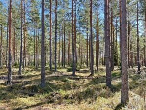 7 Personen Ferienhaus in JÄRNA - Hölö - image1