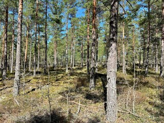 Casa de vacaciones Hölö Grabación al aire libre 5