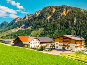 Confortevole appartamento per vacanze in una fattoria a Radstadt - Radstadt - image1