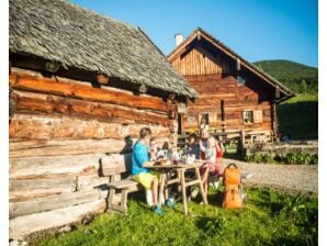 Bonito apartamento de vacaciones en una granja en Radstadt - Radstadt - image1