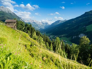 Ferienhaus Kleinarl Umgebung 17