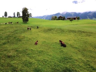 Maison de vacances Kleinarl Environnement 35