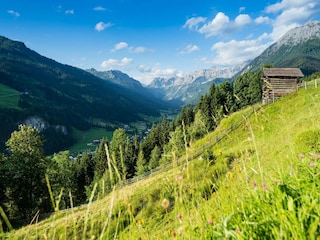 Casa de vacaciones Kleinarl Entorno 25