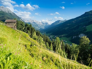 Ferienhaus Kleinarl Umgebung 36