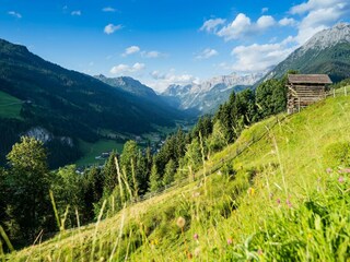 Ferienhaus Kleinarl Umgebung 32