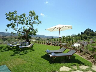 Villa San Casciano dei Bagni Buitenaudio-opname 12