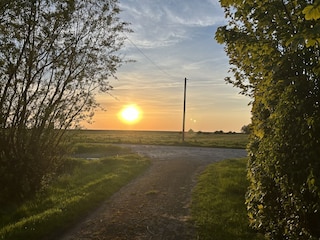 Blick auf Deich vom Haus