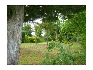 Casa per le vacanze Bucine Registrazione all'aperto 10