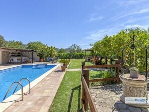 Villa Lemon Grove - Port Andratx - image1