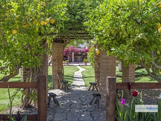 Villa Port Andratx Außenaufnahme 13