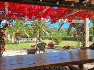 Villa Port Andratx Außenaufnahme 9