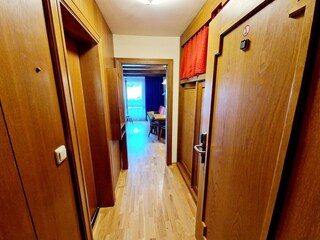 Apartamento Bad Kleinkirchheim Características 12