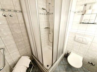 Apartamento Bad Kleinkirchheim Características 17