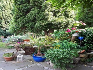 Ferienhaus Wernigerode Außenaufnahme 4