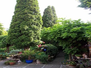 Ferienhaus Wernigerode Außenaufnahme 10