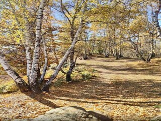 Maison de vacances Colazza Environnement 36