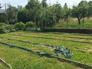 Maison de vacances Colazza Environnement 37