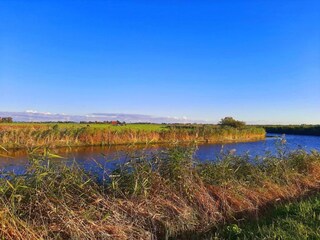 Maison de vacances Menaldum Environnement 26