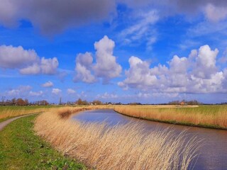 Vakantiehuis Menaldum Omgeving 34