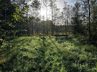 Holiday house Menaldum Environment 33