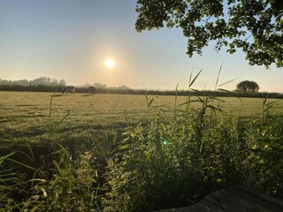 Vakantiehuis Menaldum Omgeving 30