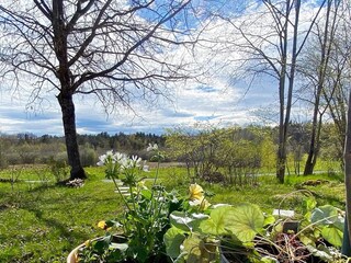 Ferienhaus Herräng Außenaufnahme 6