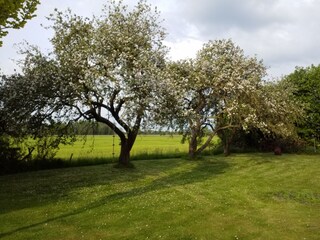 Gartenblick