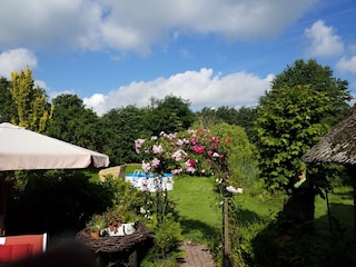 Blick in den Gästegarten