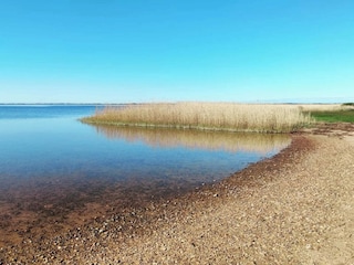 Maison de vacances Søndervig  13
