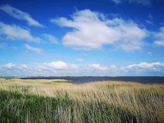 Maison de vacances Søndervig  22