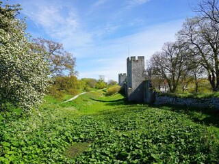 Vakantiehuis Visby  15