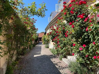 Vakantiehuis Visby  16