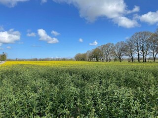 Holiday house Ängelholm Outdoor Recording 8