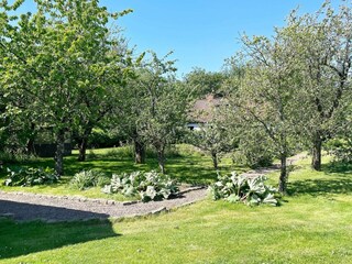 Ferienhaus Ängelholm Außenaufnahme 9