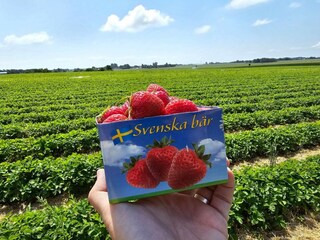 Ferienhaus Ängelholm  16