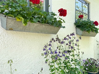 Ferienhaus Ängelholm Außenaufnahme 7