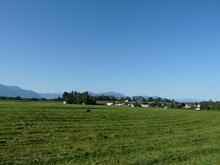 Stöttham bei Chieming