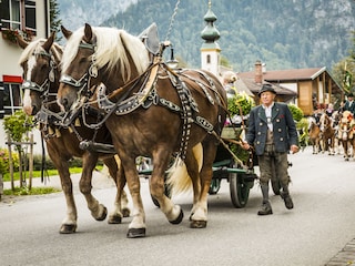 Vom Georgirirr an Ostern bis Almaabtrieb im Herbst